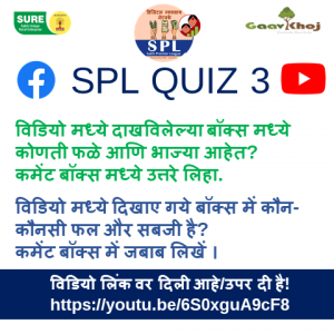 SPL Youtube Facebook Quiz